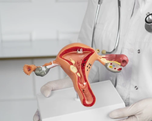 Common Gynecological Problems: Causes, Symptoms, Treatment, and Prevention Options